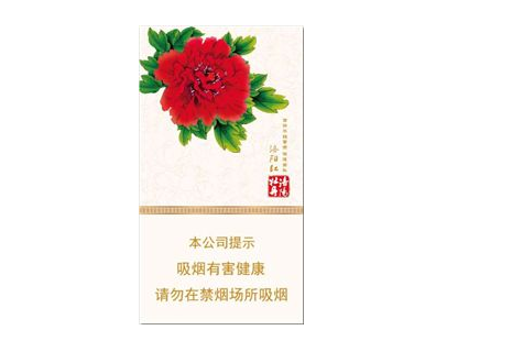 桂林香烟批发交流群